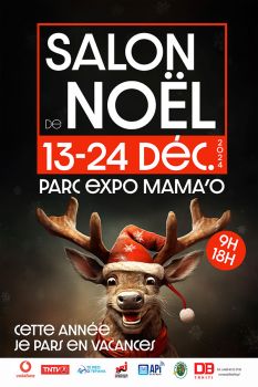 Salon de noel 2024